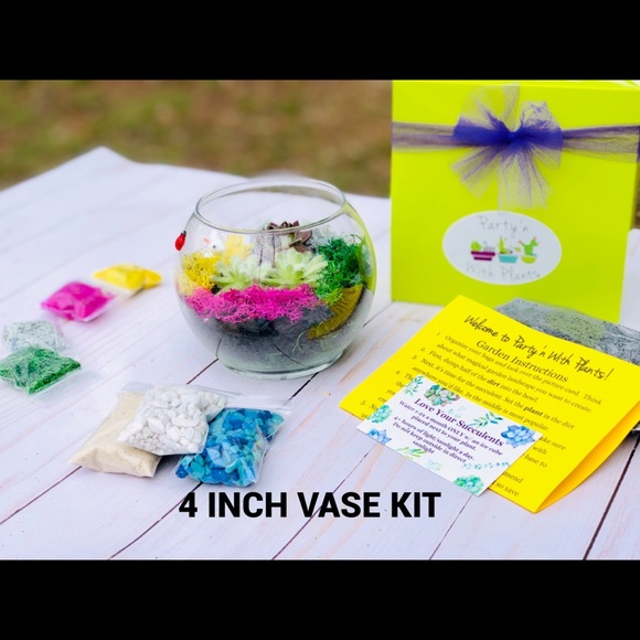 Succulent Terrarium Kit, Cactus terrarium Kit DIY - Picture 8 of 8